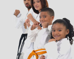 Family karate